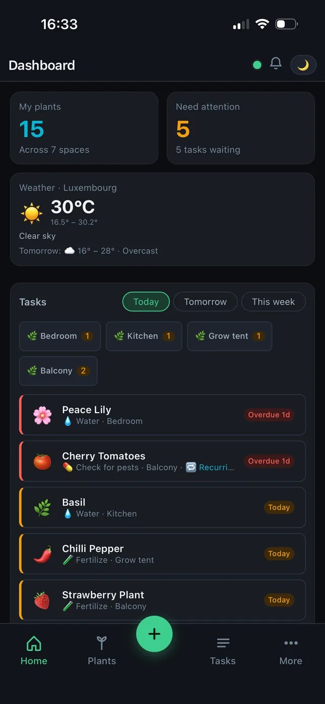 Dashboard — what needs attention today